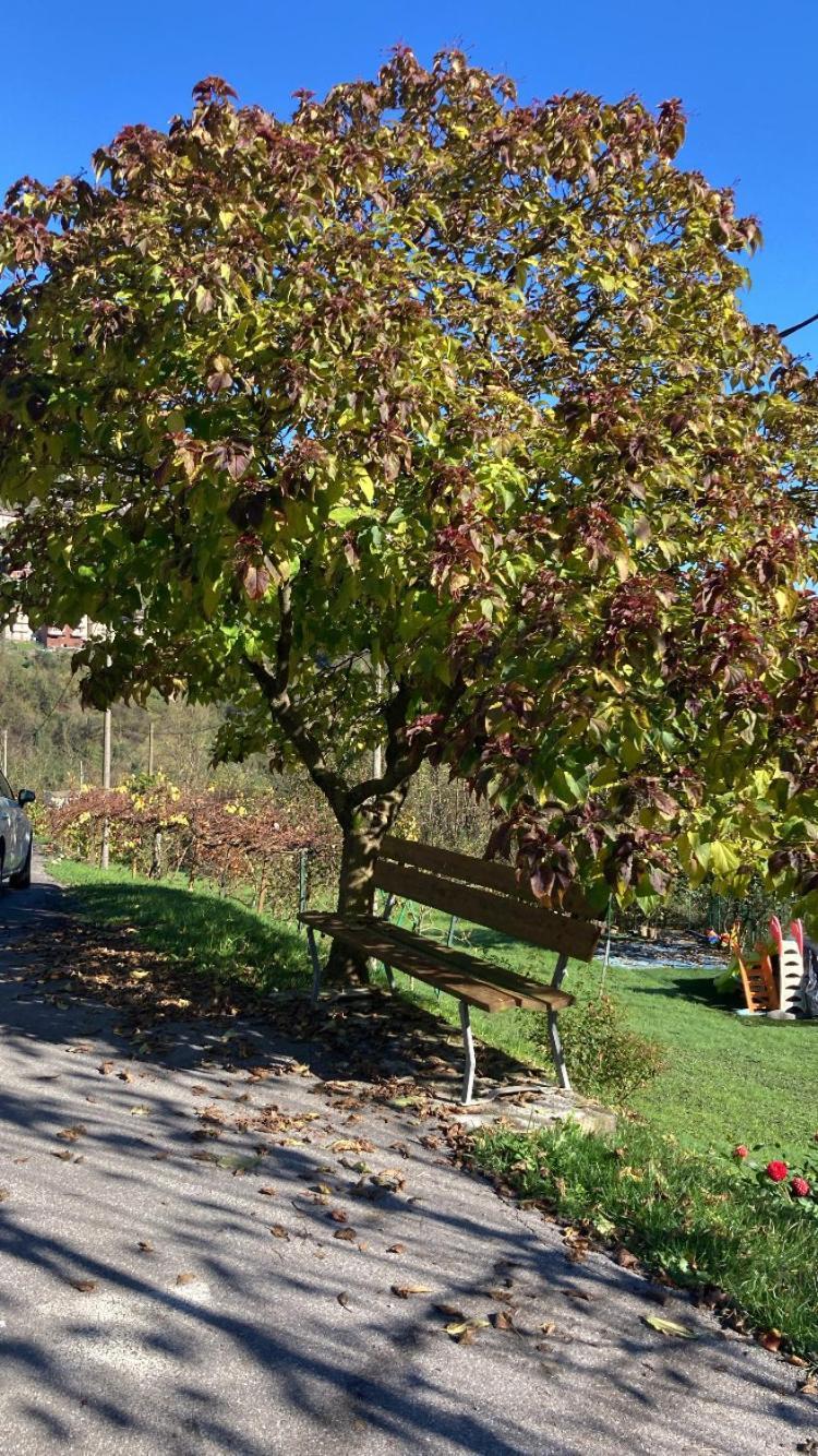 Cascina Uertigher Gorno Екстериор снимка