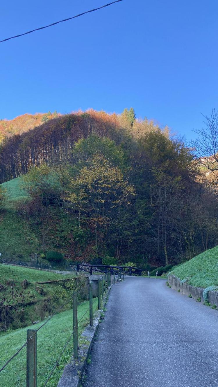 Cascina Uertigher Gorno Екстериор снимка